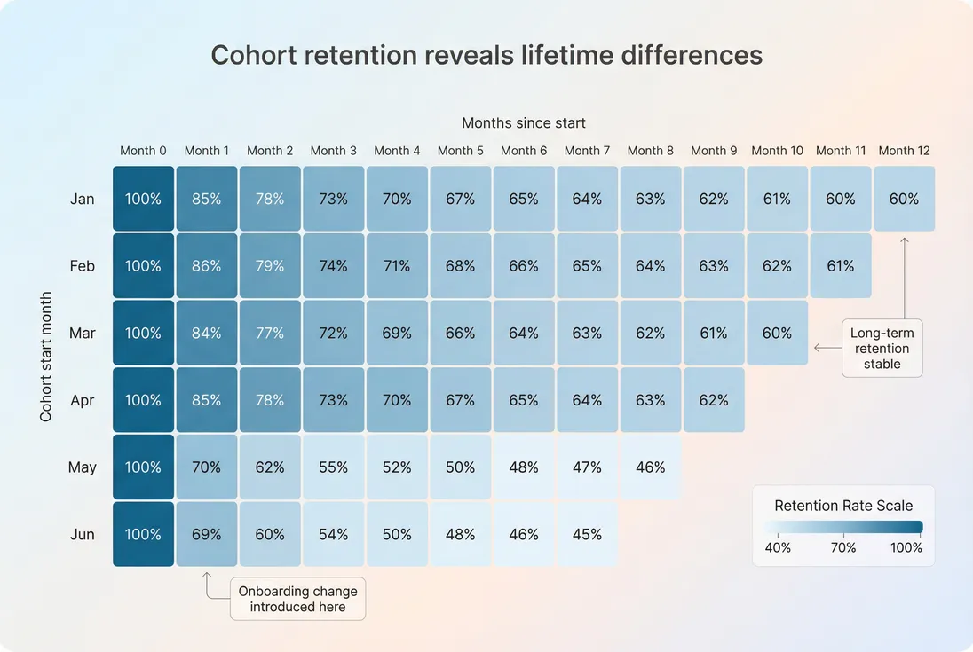 Cohort retention heatmap highlighting early churn versus stable long-term retention patterns