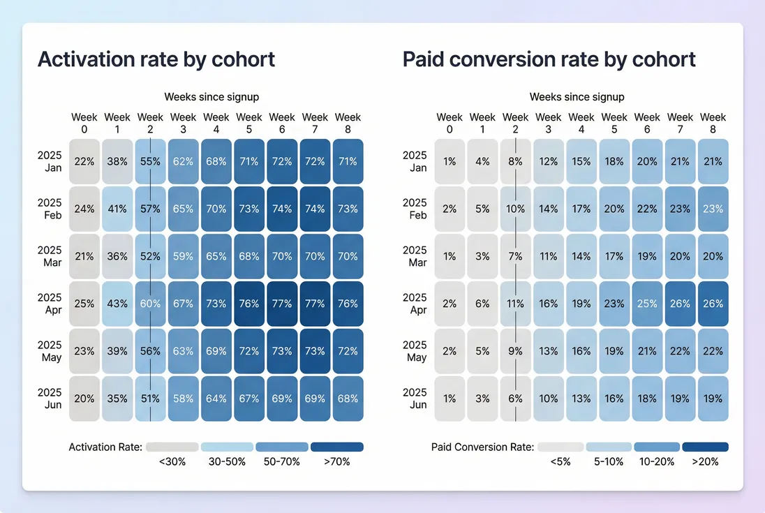 Cohort heatmaps showing activation and paid conversion rates by signup cohort over weeks