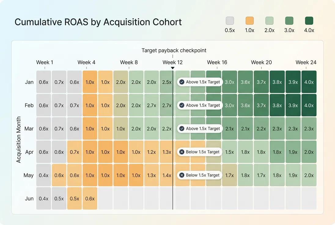 Cohort heatmap showing ROAS accumulation over time by acquisition month