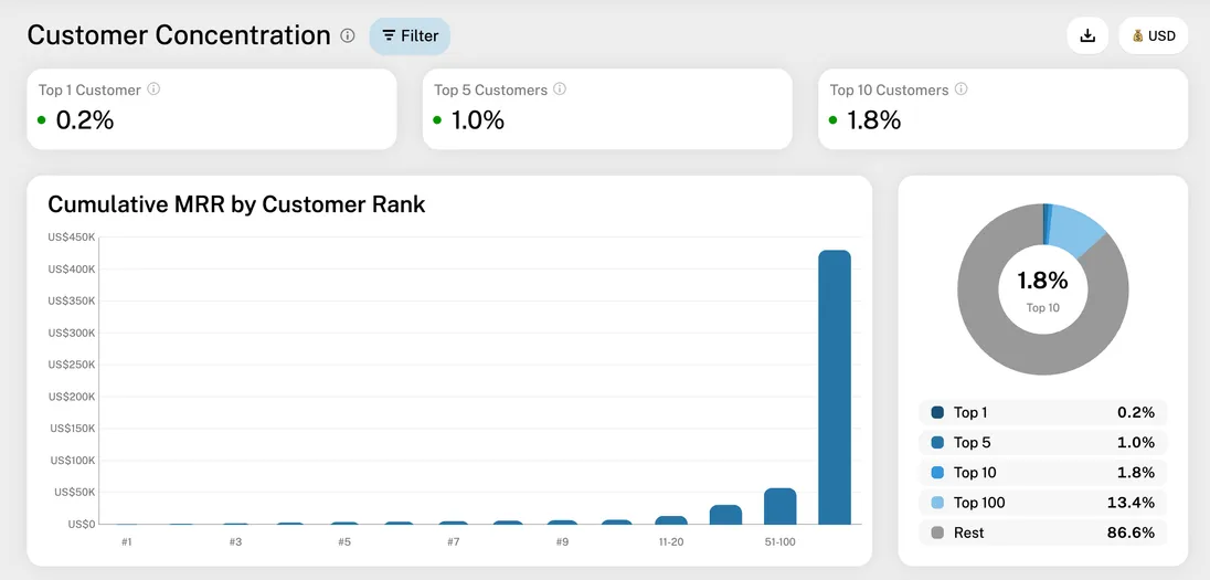 Customer Concentration report overview